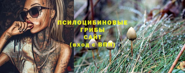 крисы Абдулино
