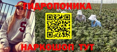 спиды Тара