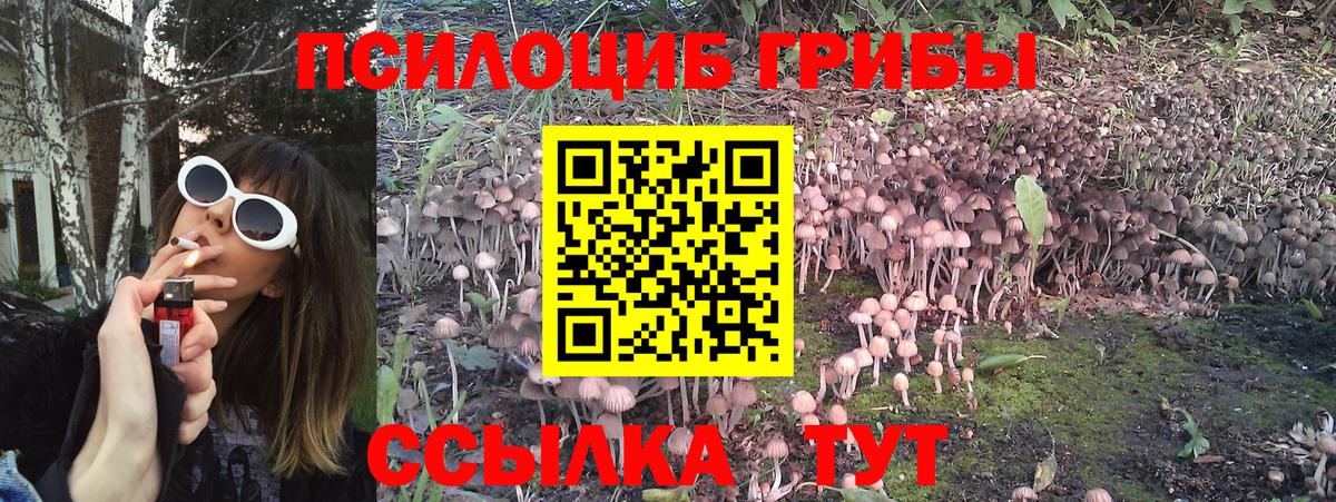 Псилоцибиновые грибы Magic Shrooms Павловский Посад